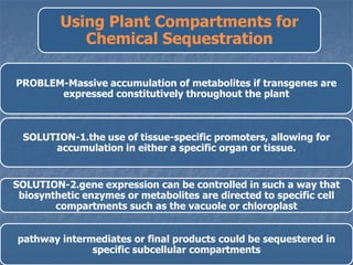 Using Plant Compartments for
Chemical Sequestration
PROBLEM-Massive accumulation of metabolites if transgenes are
expressed constitutively throughout the plant
SOLUTION-1.the use of tissue-specific promoters, allowing for
accumulation in either a specific organ or tissue.
SOLUTION-2.gene expression can be controlled in such a way that
biosynthetic enzymes or metabolites are directed to specific cell
compartments such as the vacuole or chloroplast
pathway intermediates or final products could be sequestered in
specific subcellular compartments
 