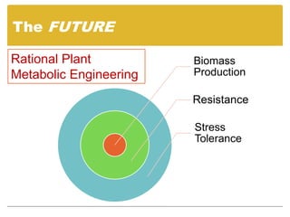 The FUTURE
Biomass
Production
Resistance
Stress
Tolerance
Rational Plant
Metabolic Engineering
 