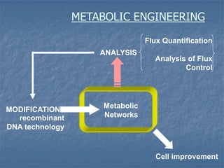 METABOLIC ENGINEERING
Metabolic
Networks
MODIFICATION
recombinant
DNA technology
ANALYSIS
Flux Quantification
Analysis of Flux
Control
Cell improvement
 