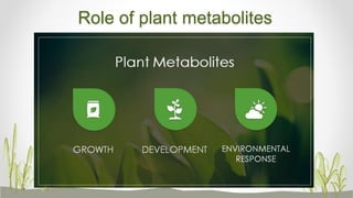 Role of plant metabolites
 