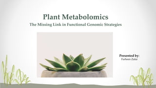 Plant Metabolomics
The Missing Link in Functional Genomic Strategies
Presented by:
Farheen Zafar
 
