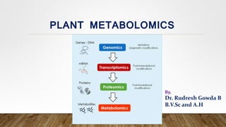 PLANT METABOLOMICS
By,
Dr. Rudresh Gowda B
B.V.Sc and A.H
 