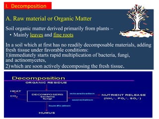 plantmicrobeinteractionbydr-190920045954.pptx