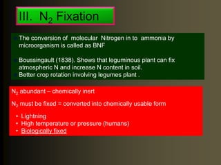 III. N2 Fixation
N2 abundant – chemically inert
N2 must be fixed = converted into chemically usable form
• Lightning
• High temperature or pressure (humans)
• Biologically fixed
 The conversion of molecular Nitrogen in to ammonia by
microorganism is called as BNF
 Boussingault (1838). Shows that leguminous plant can fix
atmospheric N and increase N content in soil.
 Better crop rotation involving legumes plant .
 