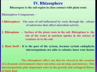 IV. Rhizosphere
Rhozospere is the soil region in close contact with plant roots
Rhizosphere Components –
1.Rhizosphere- The zone of soil influenced by roots through the release
of substrates that affect microbial activity.
2. Rhizoplane - Surface of the plant roots in the soil. Rhizoplane is the
site of the water & nutrient uptake & the release of
exudates in to the soil.
3. Root Itself - It is the part of the system, because certain endophytic
microorganisms are able to colonize inner root tissues
.
The rhizosphere effect can thus be viewed as the creation
of a dynamic environment where microbes can develop and interact. This
microorganisms play important roles in the growth and ecological fitness
of their host.
 