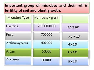 Important group of microbes and their roll in
fertility of soil and plant growth.
Microbes Type Numbers / gram
Bacteria 2,50000000
Fungi 700000
Actinomycetes 400000
Algae 50000
Protozoa 30000
2.5 X 108
7.0 X 105
4 X 105
5 X 104
3 X 104
 
