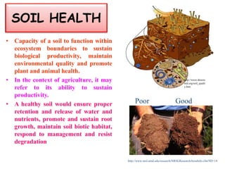 SOIL HEALTH
• Capacity of a soil to function within
ecosystem boundaries to sustain
biological productivity, maintain
environmental quality and promote
plant and animal health.
• In the context of agriculture, it may
refer to its ability to sustain
productivity.
• A healthy soil would ensure proper
retention and release of water and
nutrients, promote and sustain root
growth, maintain soil biotic habitat,
respond to management and resist
degradation
http://www.directs
eed.org/soil_qualit
y.htm
http://www.nrsl.umd.edu/research/NRSLResearchAreaInfo.cfm?ID=14
Poor Good
 