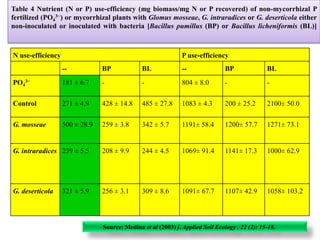 Table 4 Nutrient (N or P) use-efficiency (mg biomass/mg N or P recovered) of non-mycorrhizal P
fertilized (PO4
3−) or mycorrhizal plants with Glomus mosseae, G. intraradices or G. deserticola either
non-inoculated or inoculated with bacteria [Bacillus pumillus (BP) or Bacillus licheniformis (BL)]
N use-efficiency P use-efficiency
-- BP BL -- BP BL
PO4
3− 181 ± 6.7 - - 804 ± 8.0 - -
Control 271 ± 4.9 428 ± 14.8 485 ± 27.8 1083 ± 4.3 200 ± 25.2 2100± 50.0
G. mosseae 500 ± 28.9 259 ± 3.8 342 ± 5.7 1191± 58.4 1200± 57.7 1271± 73.1
G. intraradices 239 ± 5.5 208 ± 9.9 244 ± 4.5 1069± 91.4 1141± 17.3 1000± 62.9
G. deserticola 321 ± 5.9 256 ± 3.1 309 ± 8.6 1091± 67.7 1107± 42.9 1058± 103.2
Source: Medina et al (2003) j. Applied Soil Ecology . 22 (2): 15-18.
 