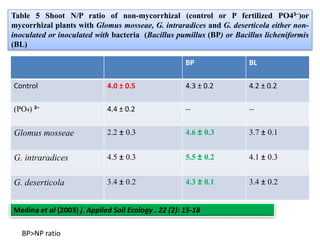 Table 5 Shoot N/P ratio of non-mycorrhizal (control or P fertilized PO43−)or
mycorrhizal plants with Glomus mosseae, G. intraradices and G. deserticola either non-
inoculated or inoculated with bacteria (Bacillus pumillus (BP) or Bacillus licheniformis
(BL)
BP BL
Control 4.0 ± 0.5 4.3 ± 0.2 4.2 ± 0.2
(PO4) 3− 4.4 ± 0.2 -- --
Glomus mosseae 2.2 ± 0.3 4.6 ± 0.3 3.7 ± 0.1
G. intraradices 4.5 ± 0.3 5.5 ± 0.2 4.1 ± 0.3
G. deserticola 3.4 ± 0.2 4.3 ± 0.1 3.4 ± 0.2
Medina et al (2003) j. Applied Soil Ecology . 22 (2): 15-18
BP>NP ratio
 