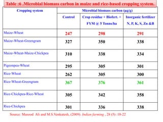 Cropping system Microbial biomass carbon (µg/g)
Control Crop residue + Biofert. +
FYM @ 5 Tonns/ha
Inorganic fertilizer
N, P, K, S, Zn &B
Maize-Wheat 247 298 291
Maize-Wheat-Greengram 327 350 338
Maize-Wheat-Maize-Chickpea 310 338 334
Pigeonpea-Wheat 295 305 301
Rice-Wheat 262 305 300
Rice-Wheat-Greengram 367 376 361
Rice-Chickpea-Rice-Wheat 305 342 358
Rice-Chickpea 301 336 338
Table :6 .Microbial biomass carbon in maize and rice-based cropping system.
Source: Masood Ali and M.S.Venkatesh, (2009). Indian farming , 28 (5) :18-22
 