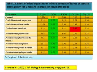 Table 13. Effect of microorganisms on mineral content of leaves of tomato
plants grown for 6 months in organic medium (fall crop)
Treatments N (%) P (%) K (%) Ca (%) Mg (%)
Control 3.32a 0.55 7.44 3.05 0.40
Penicillium brevicompactum 3.53 0.73 8.13 2.59 0.34
Penicillium solitum strain 13.58 0.75 7.93 2.45 0.36
Trichoderma atroviride 3.53 0.73 8.11 2.32 0.33
Pseudomonas fluorescens 3.65 0.67 8.07 2.92 0.37
Pseudomonas fluorescens G
strain 2
3.65 0.67 7.99 3.06 0.33
Pseudomonas marginalis 2.81 0.81 7.92 2.63 0.36
Pseudomonas putida B strain 1 3.51 0.66 7.57 3.05 0.37
Pseudomonas syringae strain 1 3.57 0.73 7.99 2.50 0.34
Gravel et al. (2007) J. Soil Biology & Biochemistry. 84 (6): 99-105.
3- Fungi and 5 Bacterial spp.
 