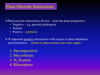 Plant-Microbe Interactions
Plant-microbe interactions diverse – from the plant perspective:
• Negative – e.g. parasitic/pathogenic
• Neutral
• Positive – symbiotic
 important positive interactions with respect to plant abundance
and distribution – related to plant nutrient and water supply:
1. Decomposition
2. Mycorrhizae
3. N2 fixation
4. Rhizosphere
 