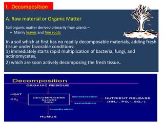 I. Decomposition
A. Raw material or Organic Matter
Soil organic matter derived primarily from plants –
• Mainly leaves and fine roots
In a soil which at first has no readily decomposable materials, adding fresh
tissue under favorable conditions:
1) immediately starts rapid multiplication of bacteria, fungi, and
actinomycetes,
2) which are soon actively decomposing the fresh tissue.
 