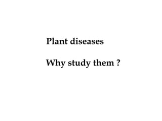 Plant diseases
Why study them ?
 