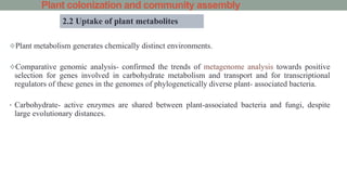 Plant colonization and community assembly
Plant metabolism generates chemically distinct environments.
Comparative genomic analysis- confirmed the trends of metagenome analysis towards positive
selection for genes involved in carbohydrate metabolism and transport and for transcriptional
regulators of these genes in the genomes of phylogenetically diverse plant- associated bacteria.
• Carbohydrate- active enzymes are shared between plant-associated bacteria and fungi, despite
large evolutionary distances.
2.2 Uptake of plant metabolites
 