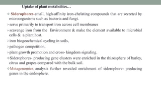 Uptake of plant metabolites…
 Siderophores-small, high-affinity iron-chelating compounds that are secreted by
microorganisms such as bacteria and fungi.
serve primarily to transport iron across cell membranes
scavenge iron from the Environment & make the element available to microbial
cells & a plant host.
iron biogeochemical cycling in soils,
pathogen competition,
plant growth promotion and cross- kingdom signaling.
Siderophores- producing gene clusters were enriched in the rhizosphere of barley,
citrus and grapes compared with the bulk soil.
Metagenomics analysis further revealed enrichment of siderophore- producing
genes in the endosphere.
 