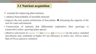3. Functions of plant- associated microbiomes
 essential for improving plant nutrition.
 enhance bioavailability of insoluble minerals
improve the root system architecture of host plants,  increasing the capacity of the
root for water and minerals.
 Conservation of nutrients that differentiate exploitative (fast- growing) vs
conservative (slow- growing) plant species
effective conversion of organic N2 into nitrate and ammonium by the indica- enriched
microbiome may contribute to higher N2 use efficiency in indica rice. (Oryza indica
than of Oryza japonica varieties).
3.1 Nutrient acquisition
 