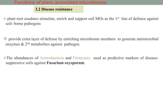 Functions of plant- associated microbiomes
 plant root exudates stimulate, enrich and support soil MOs as the 1st line of defence against
soil- borne pathogens
 provide extra layer of defense by enriching microbiome members to generate antimicrobial
enzymes & 2nd metabolites against pathogen.
The abundances of Actinobacteria and Firmicutes used as predictive markers of disease-
suppressive soils against Fusarium oxysporum.
3.2 Disease resistance
 