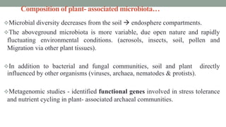 Composition of plant- associated microbiota…
Microbial diversity decreases from the soil  endosphere compartments.
The aboveground microbiota is more variable, due open nature and rapidly
fluctuating environmental conditions. (aerosols, insects, soil, pollen and
Migration via other plant tissues).
In addition to bacterial and fungal communities, soil and plant directly
influenced by other organisms (viruses, archaea, nematodes & protists).
Metagenomic studies - identified functional genes involved in stress tolerance
and nutrient cycling in plant- associated archaeal communities.
 