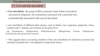 The plant microbiome
 Core microbiota– the group of MOs commonly found within a microbiota
- persistent & ubiquitous the communities associated with a particular host.
-systematically associated with a given host plant
 core microbiota of different plant species, such as barley, rice, sugarcane, grapevine, citrus,
soybean and A. thaliana, are common at the genus level
(eg. Pseudomonas, Agrobacterium, Methylobacterium, Sphingomonas, Erwinia, Cladosporium,
Coniothyrium, Resinicium and Fusarium)
 This suggests that co-occurring members of the core microbiota are selectively recruited and
enriched in parallel and well adapted to inside plant tissues.
1.2 Core and hub microbiota
 