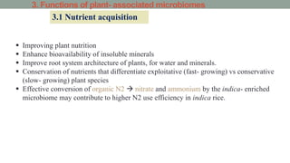 3. Functions of plant- associated microbiomes
3.1 Nutrient acquisition
 Improving plant nutrition
 Enhance bioavailability of insoluble minerals
 Improve root system architecture of plants, for water and minerals.
 Conservation of nutrients that differentiate exploitative (fast- growing) vs conservative
(slow- growing) plant species
 Effective conversion of organic N2  nitrate and ammonium by the indica- enriched
microbiome may contribute to higher N2 use efficiency in indica rice.
 