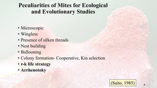 Thread Mites Plant Mites and Sociality_ life types in mites | PDF