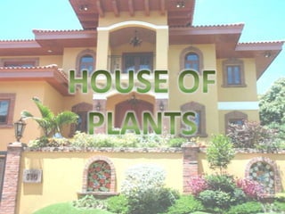 BOTANNY SPECIAL PROJECT