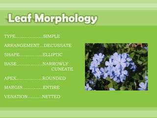 BOTANNY SPECIAL PROJECT