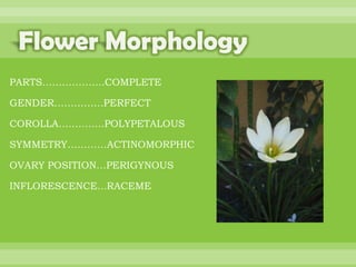 BOTANNY SPECIAL PROJECT