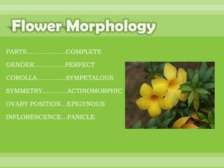 BOTANNY SPECIAL PROJECT