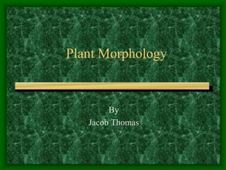 Plant Morphology By  Jacob Thomas  