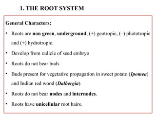 Root Charectors short note plant morphology and anatomy | PPTX