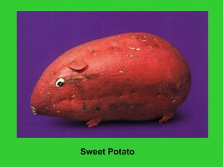 Sweet Potato
 