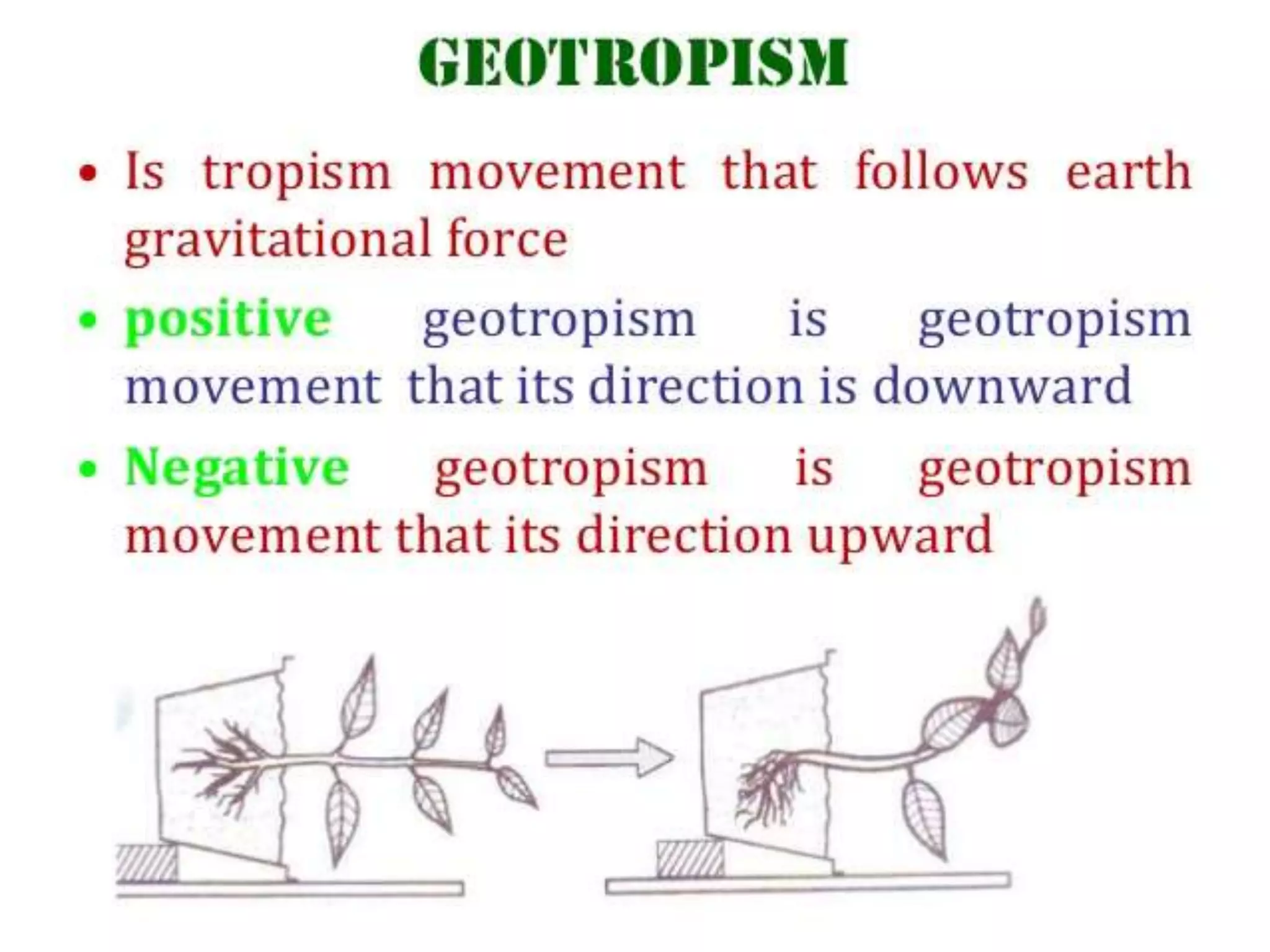 Plant movement - tropic (phototropic and geotropic) and nastic ...