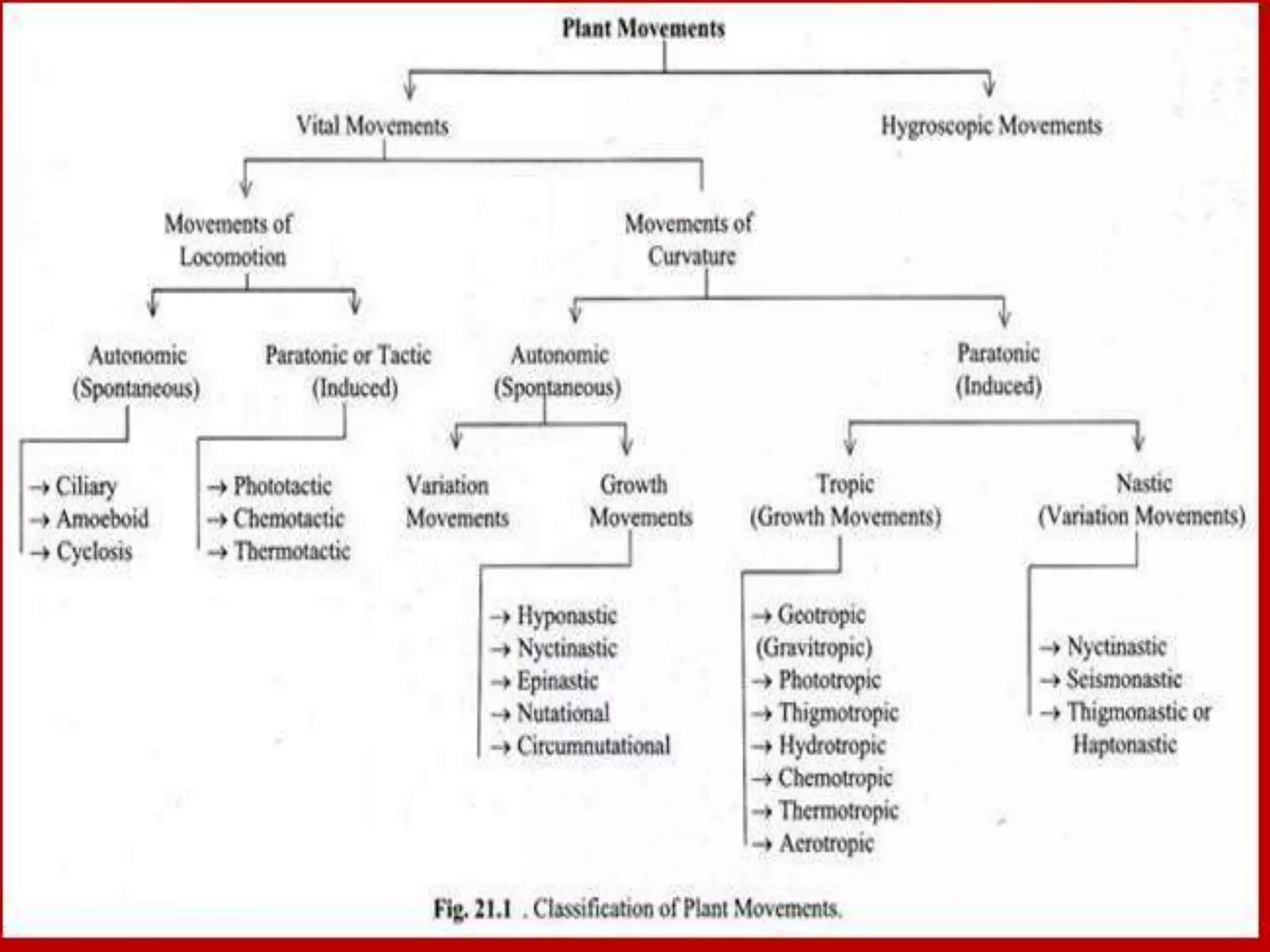 Plant movement - tropic (phototropic and geotropic) and nastic ...