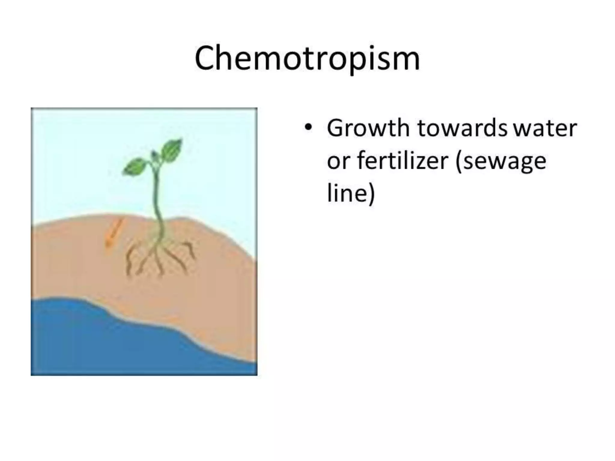 Plant movement - tropic (phototropic and geotropic) and nastic ...