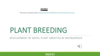 DEVELOPMENT OF NOVEL PLANT VARIETIES BY MUTAGENESIS
IB6043
 