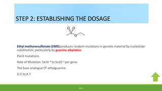 Breeding Plants using Chemical Mutagens | PPTX
