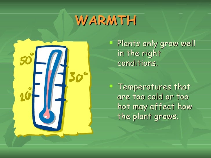 Plant Needs