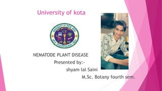 University of kota
NEMATODE PLANT DISEASE
Presented by:-
shyam lal Saini
M.Sc. Botany fourth sem.
 