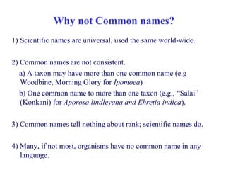 Why not Common names?
1) Scientific names are universal, used the same world-wide.
2) Common names are not consistent.
a) A taxon may have more than one common name (e.g
Woodbine, Morning Glory for Ipomoea)
b) One common name to more than one taxon (e.g., “Salai”
(Konkani) for Aporosa lindleyana and Ehretia indica).
3) Common names tell nothing about rank; scientific names do.
4) Many, if not most, organisms have no common name in any
language.
 