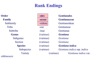 Rank Endings
Order -ales Gentianales
Family -aceae Gentianaceae
Subfamily -oideae Gentianoideae
Tribe -eae Gentianeae
Subtribe -inae Gentianae
Genus (various) Gentiana
Subgenus (various) Gentiana
Section (various) Gentiana
Species (various) Gentiana indica
Subspecies (various) Gentiana indica ssp. indica
Variety (various) Gentiana indica var.
sikkimensis
 
