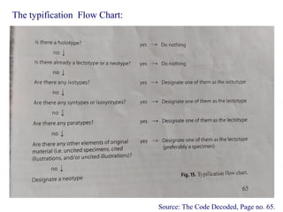 Source: The Code Decoded, Page no. 65.
The typification Flow Chart:
 