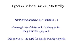 Types exist for all ranks up to family
Hubbardia diandra L. Chandore 31
Ceropegia candelabrum L. is the type for
the genus Ceropegia L.
Genus Poa is the type for family Poaceae Borkh.
 