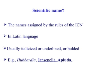 Scientific name?
 The names assigned by the rules of the ICN
 In Latin language
Usually italicized or underlined, or bolded
 E.g., Hubbardia, Jansenella, Apluda
 