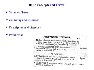Basic Concepts and Terms
 Name vs. Taxon
 Gathering and specimen
 Description and diagnosis
 Protologue
 