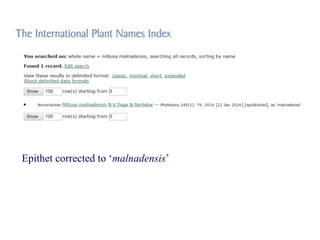 Epithet corrected to ‘malnadensis’
 