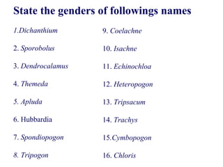 State the genders of followings names
1.Dichanthium
2. Sporobolus
3. Dendrocalamus
4. Themeda
5. Apluda
6. Hubbardia
7. Spondiopogon
8. Tripogon
9. Coelachne
10. Isachne
11. Echinochloa
12. Heteropogon
13. Tripsacum
14. Trachys
15.Cymbopogon
16. Chloris
 