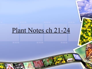 Plant Notes ch 21-24 