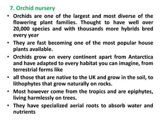 7. Orchid nursery
• Orchids are one of the largest and most diverse of the
flowering plant families. Thought to have well over
20,000 species and with thousands more hybrids bred
every year
• They are fast becoming one of the most popular house
plants available.
• Orchids grow on every continent apart from Antarctica
and have adapted to every habitat you can imagine, from
terrestrial forms like
• all those that are native to the UK and grow in the soil, to
lithophytes that grow naturally on rocks.
• Most however come from the tropics and are epiphytes,
living harmlessly on trees.
• They have specialized aerial roots to absorb water and
nutrients
 